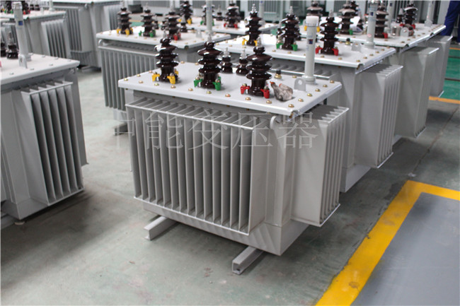 河池S22-250KVA/10KV变压器